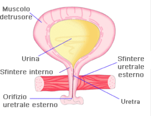 incontinenza2